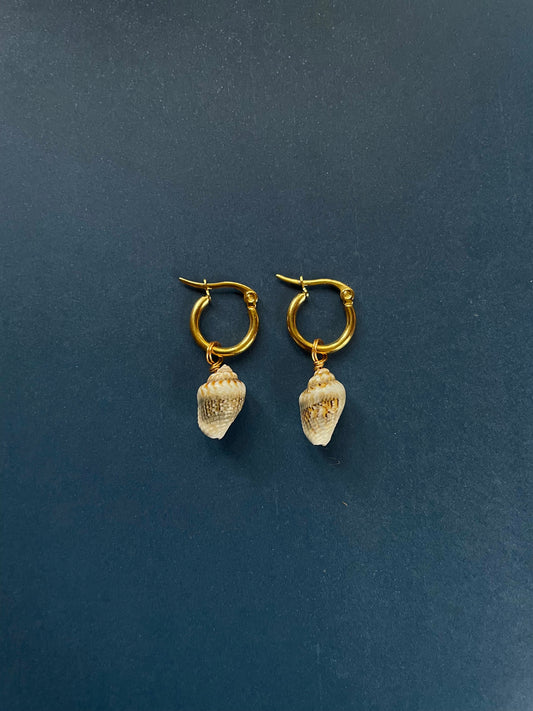 Small Spiral Shell Gold Hoops