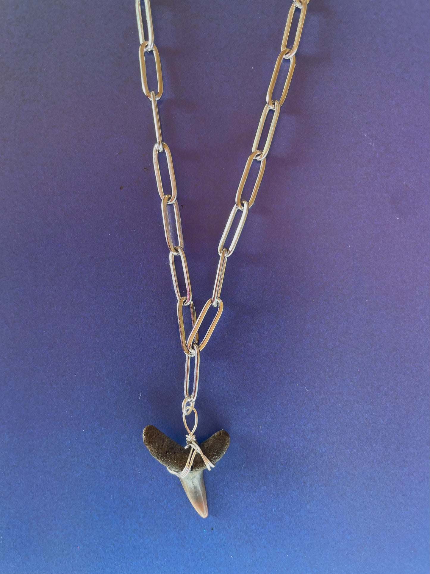 Silver Shark Tooth Necklaces