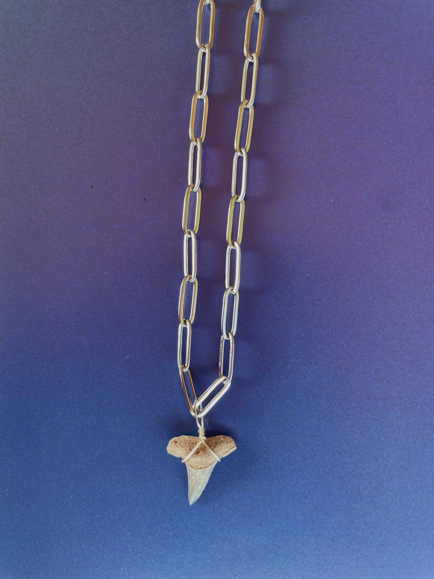 Silver Shark Tooth Necklaces