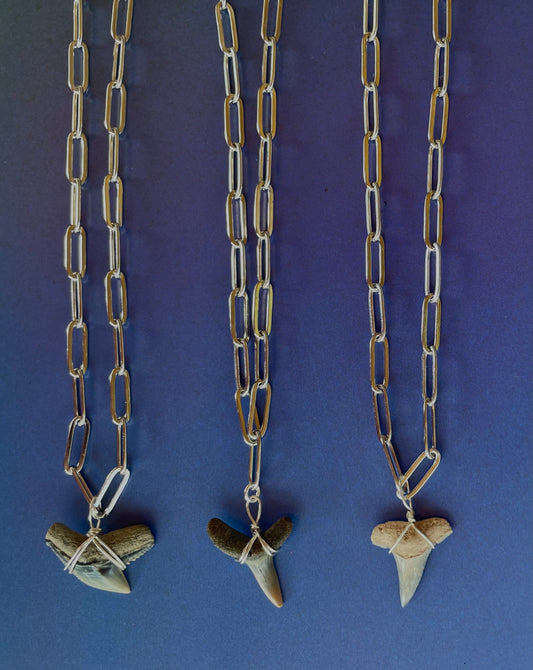 Silver Shark Tooth Necklaces