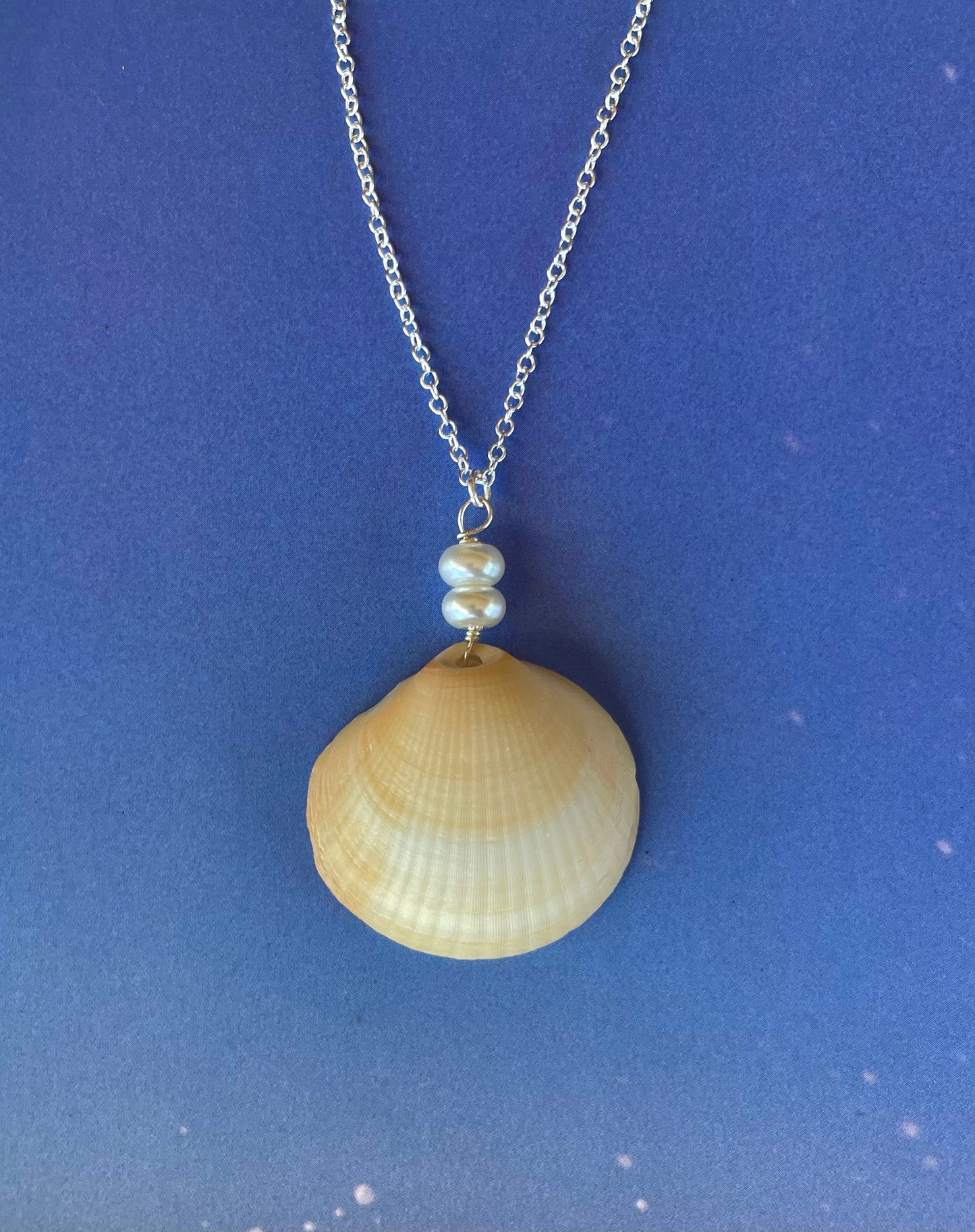 Seashell Dangle Necklace