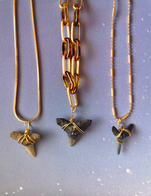 Gold Shark Tooth Necklaces